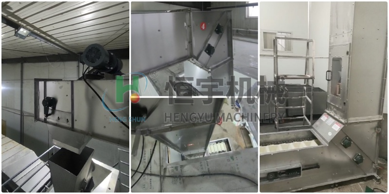 不銹鋼z型斗式提升機大豆客戶現場